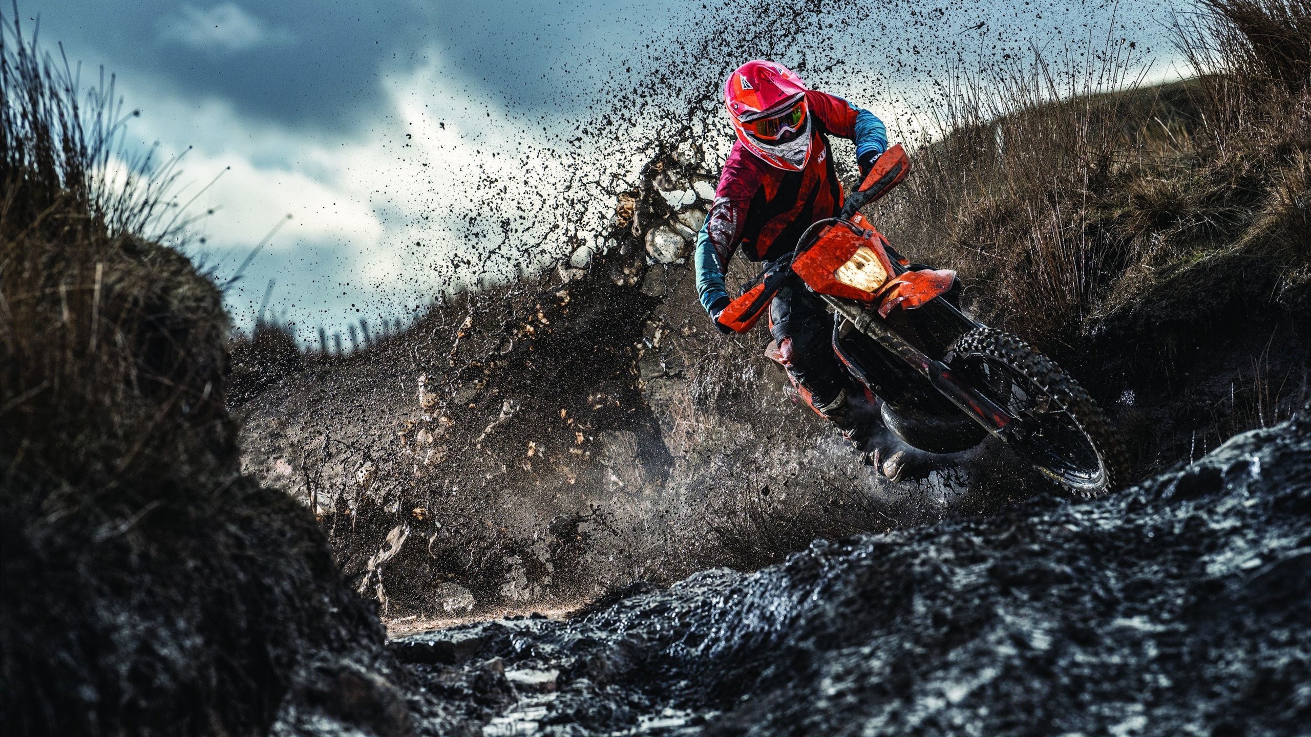 字母哥自掏腰包资助非洲青训项目,成篮球慈善先锋,字母哥非洲哪个国家